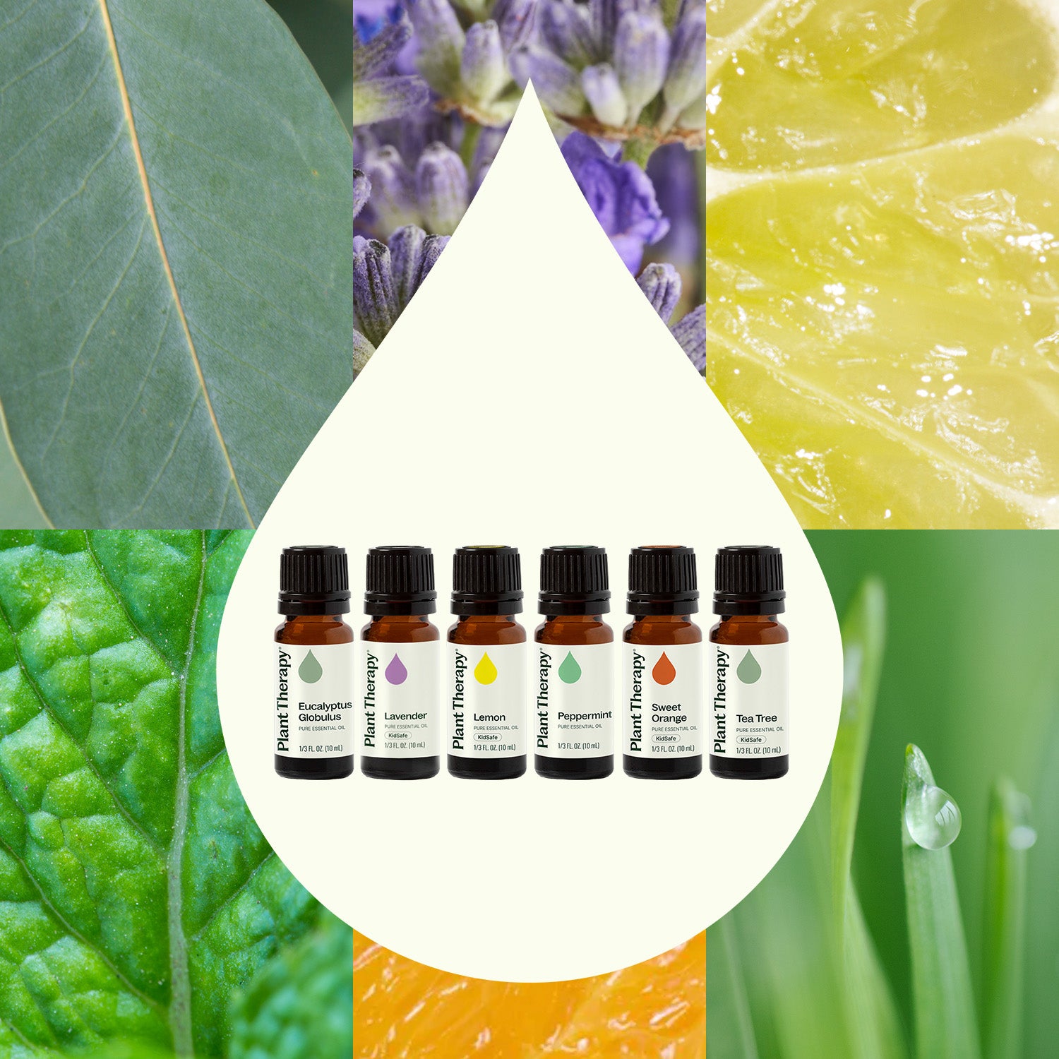 Top 6 Everyday Oils Bundle