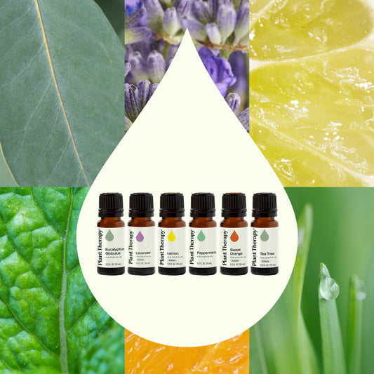Top 6 Everyday Oils Bundle