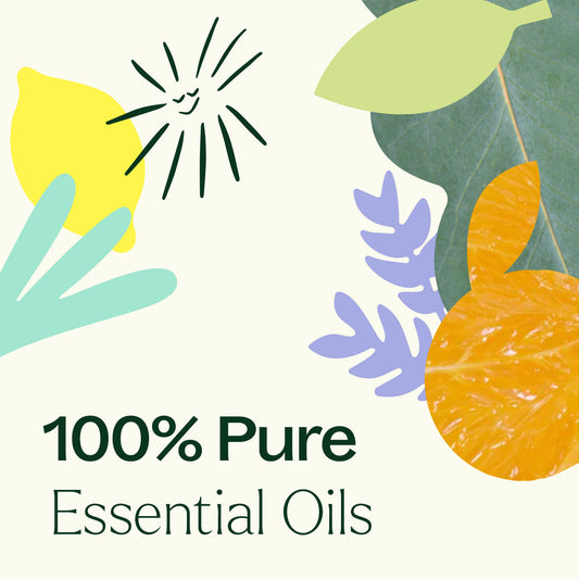 Top 6 Everyday Oils Bundle