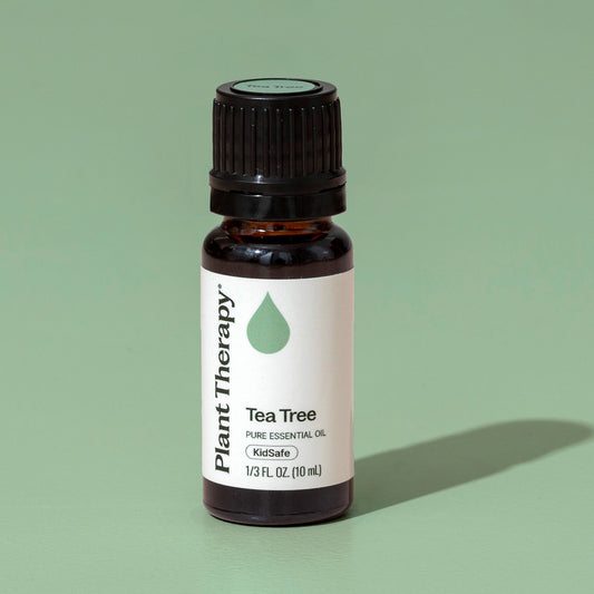 Top 6 Everyday Oils Bundle