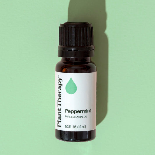 Top 6 Everyday Oils Bundle