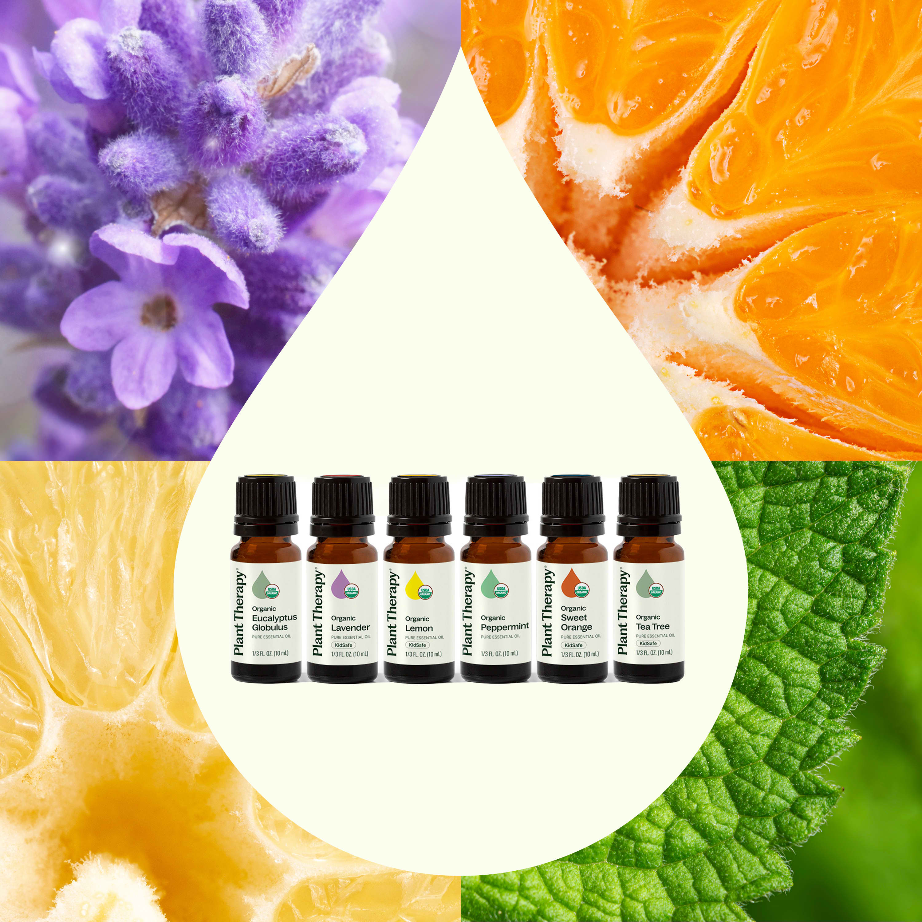 Top 6 Organic Singles Essential Oil Set | Starter Kit