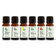 Top 6 Organic Singles Essential Oil Set