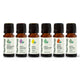 Top 6 Organic Singles Essential Oil Set