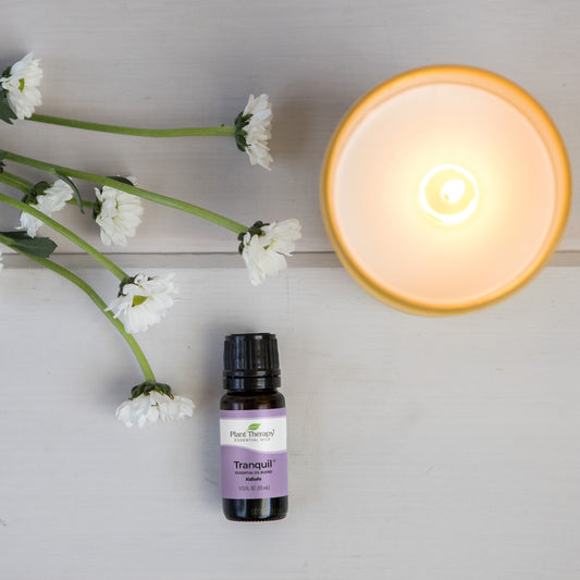 Cozy Cashmere Essential Oil Blend – Plant Therapy