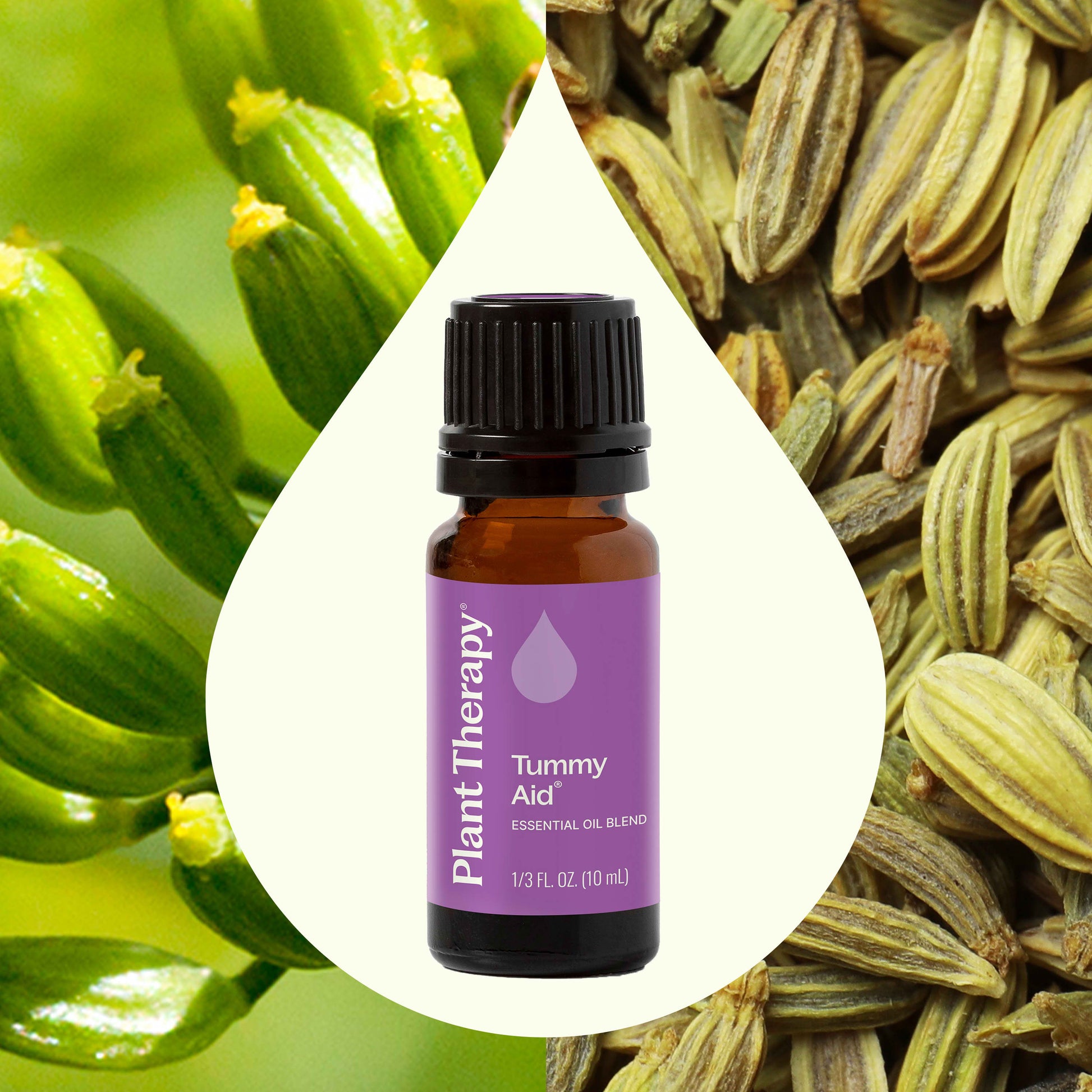 Tummy Aid Essential Oil Blend