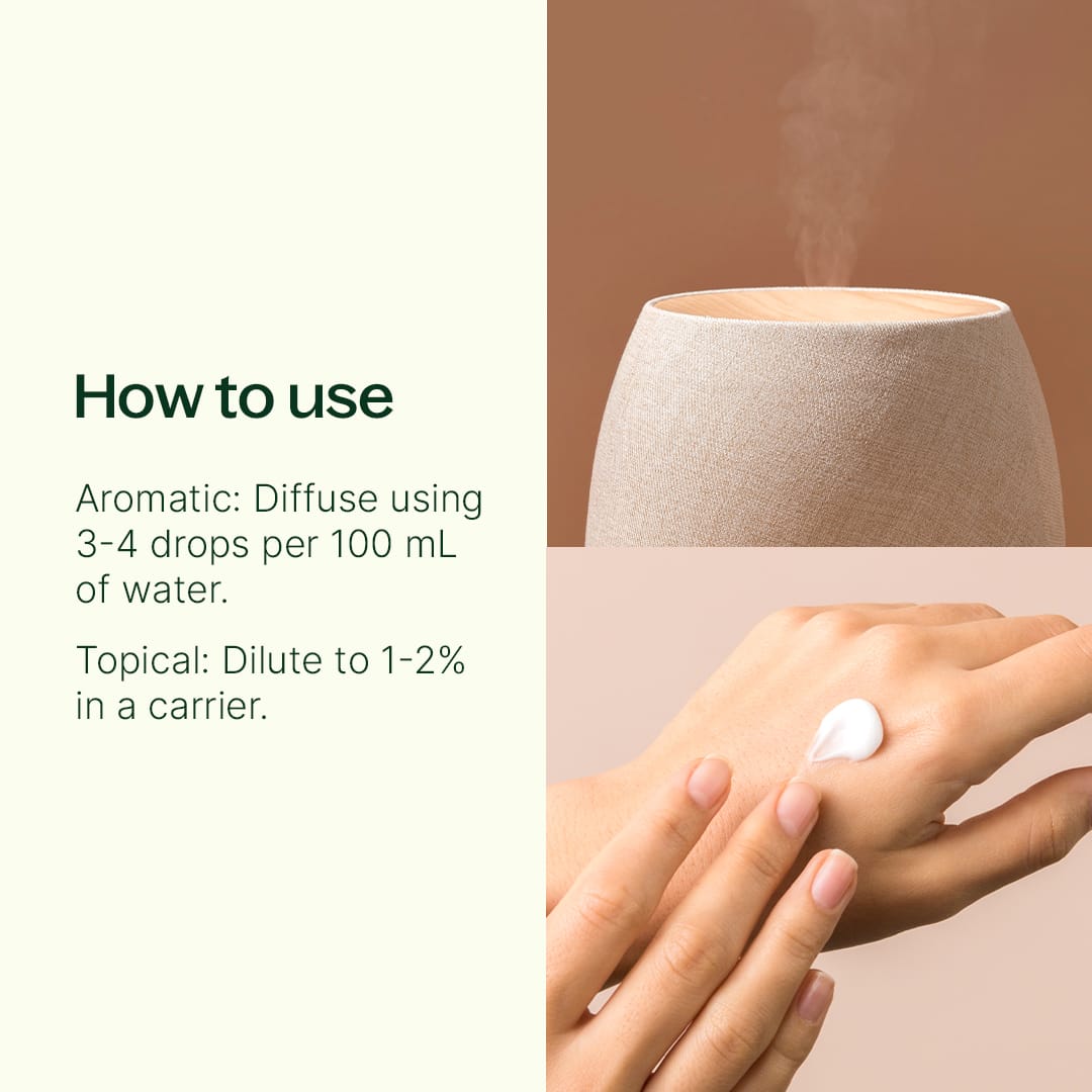 Vanilla Woods Essential Oil Blend