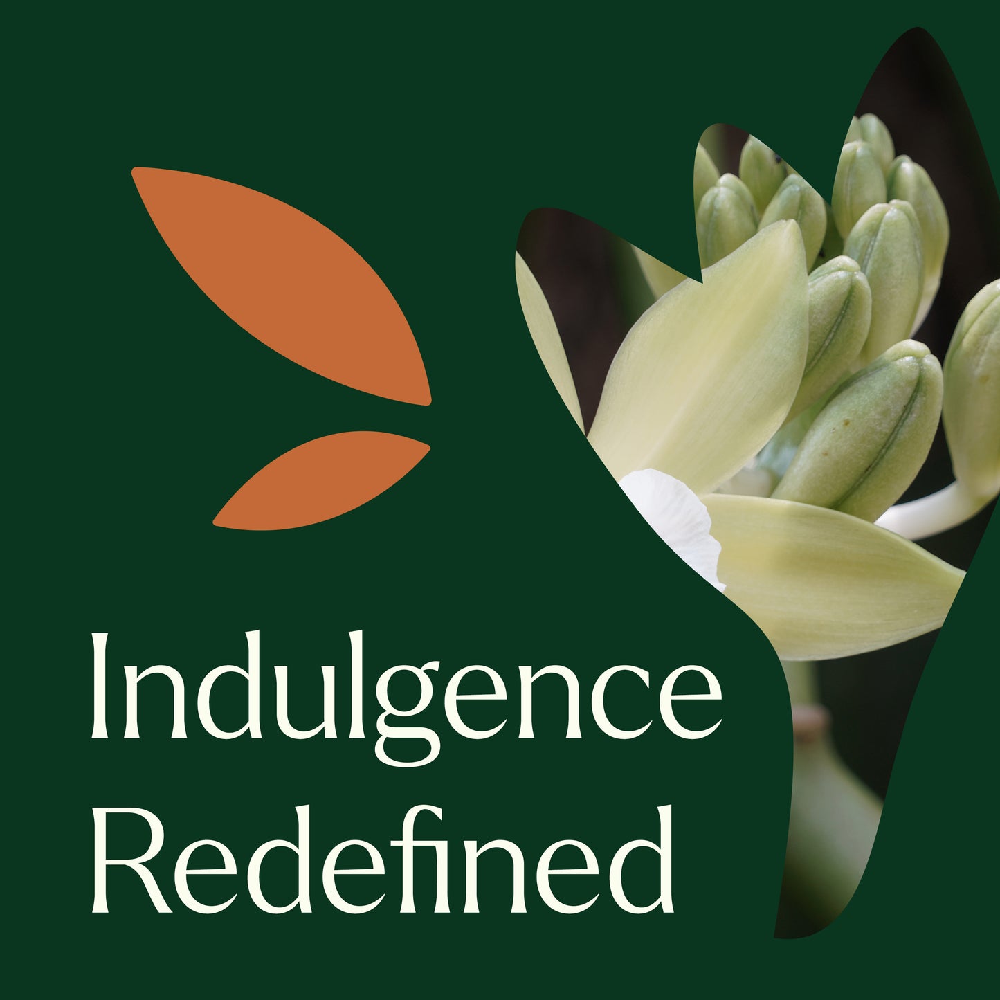 Head-to-Toe Glow Bundle