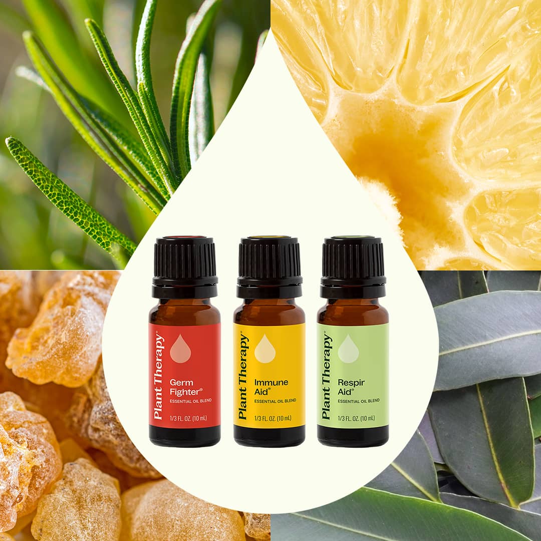 Wellness Sampler Set – Plant Therapy