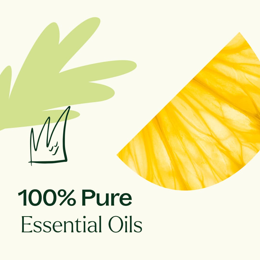 Wellness Sampler Set