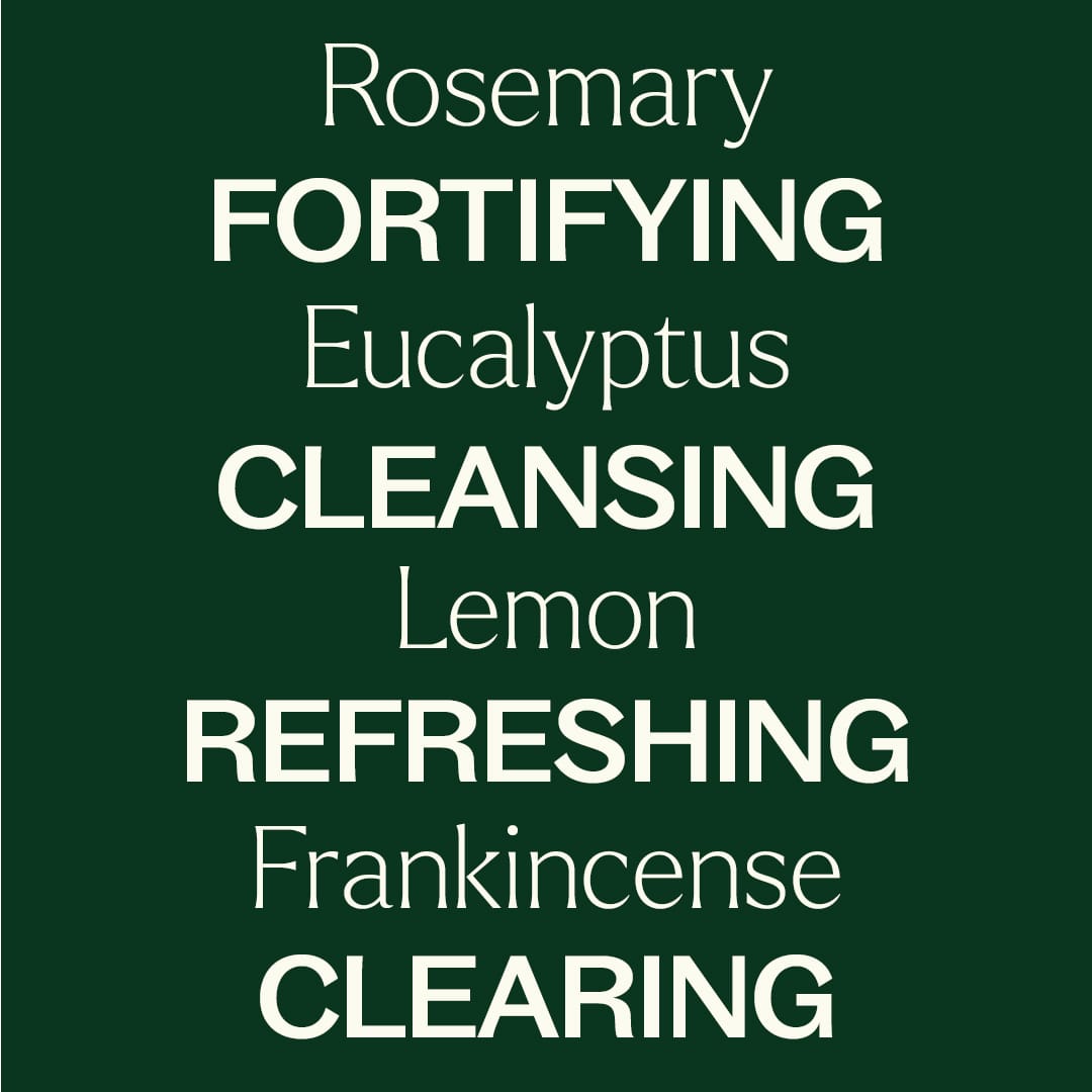 Wellness Sampler Set – Plant Therapy