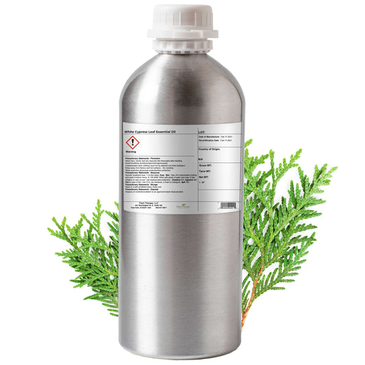 White Cypress Leaf Essential Oil Bulk