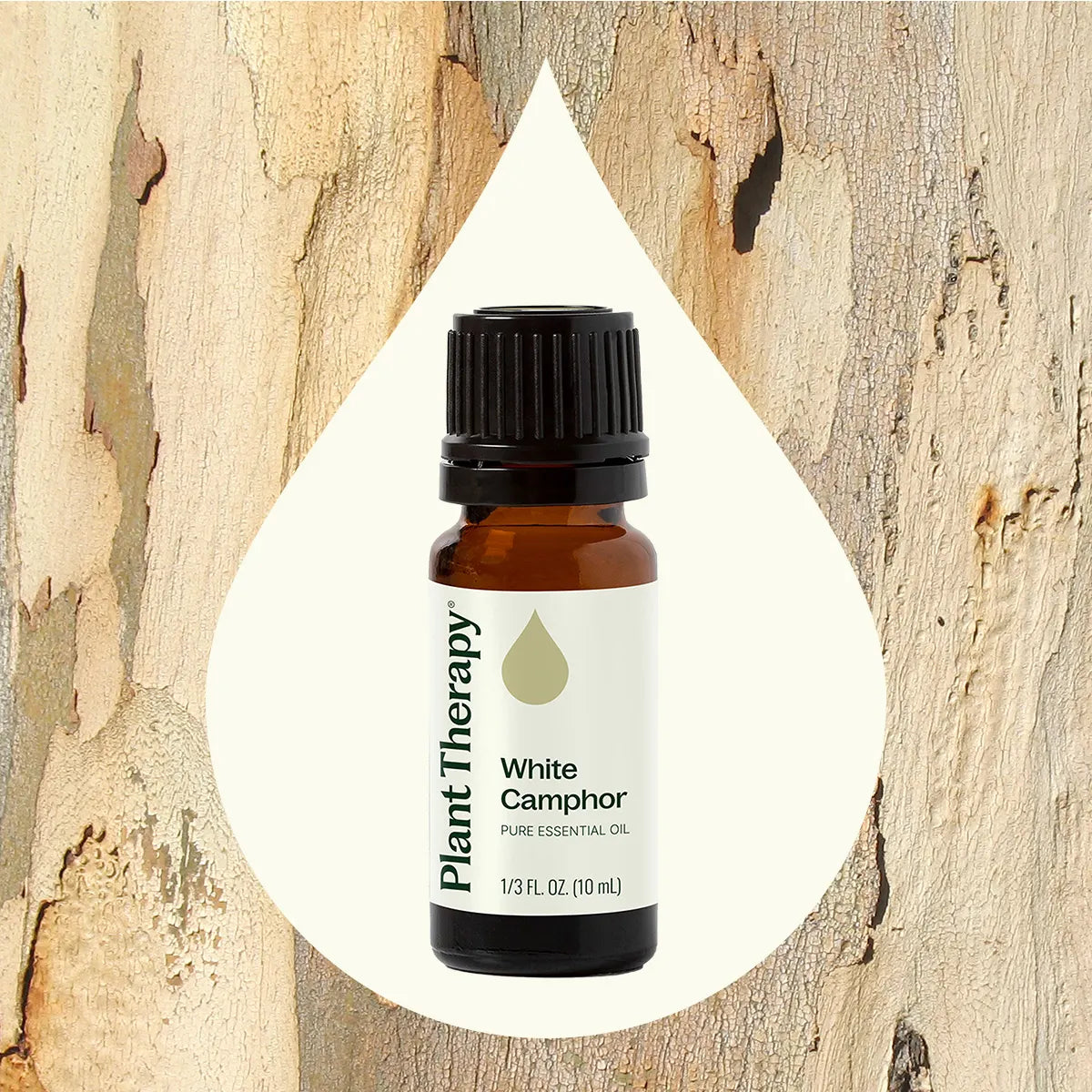 White Camphor Essential Oil