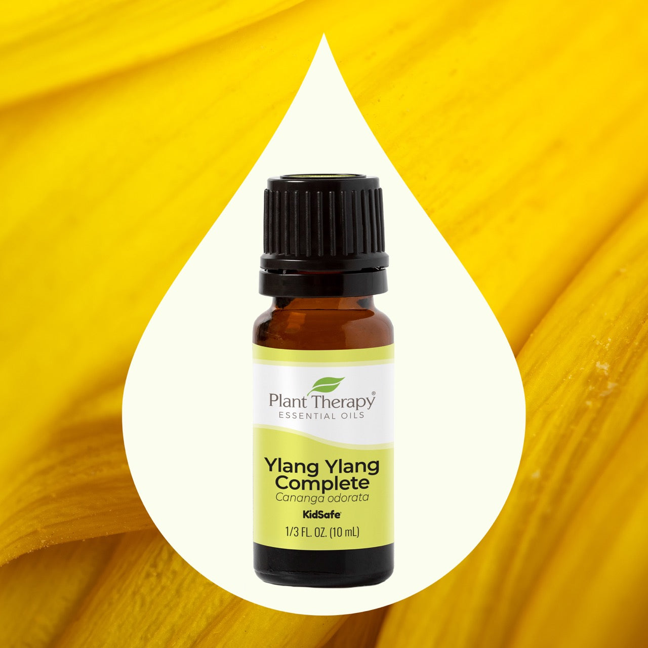 Ylang Ylang Complete Essential Oil with key ingredient image