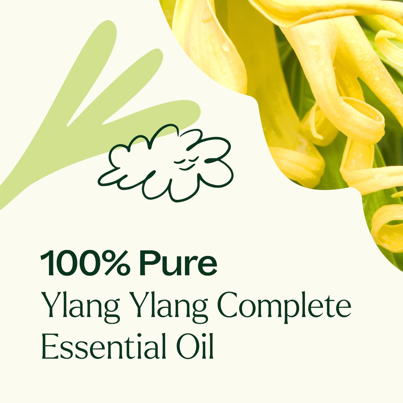 100% pure Ylang Ylang Complete Essential Oil