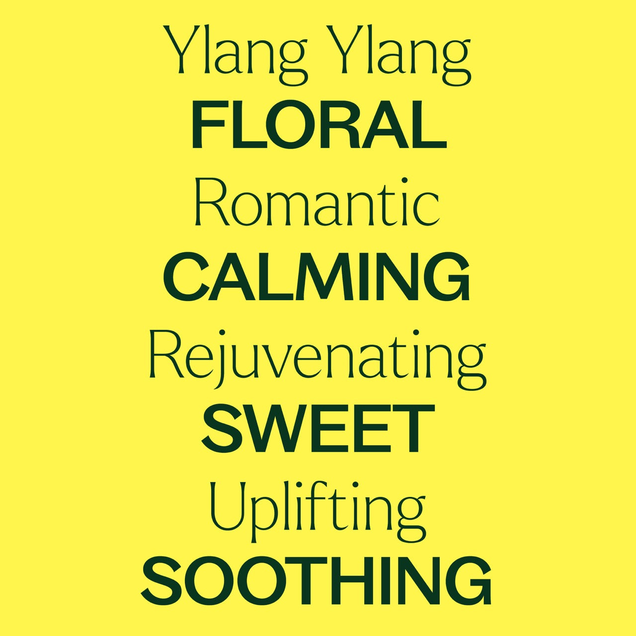 Ylang Ylang Complete Essential Oil with key features: floral, romantic, calming, rejuvenating, sweet, uplifting, soothing