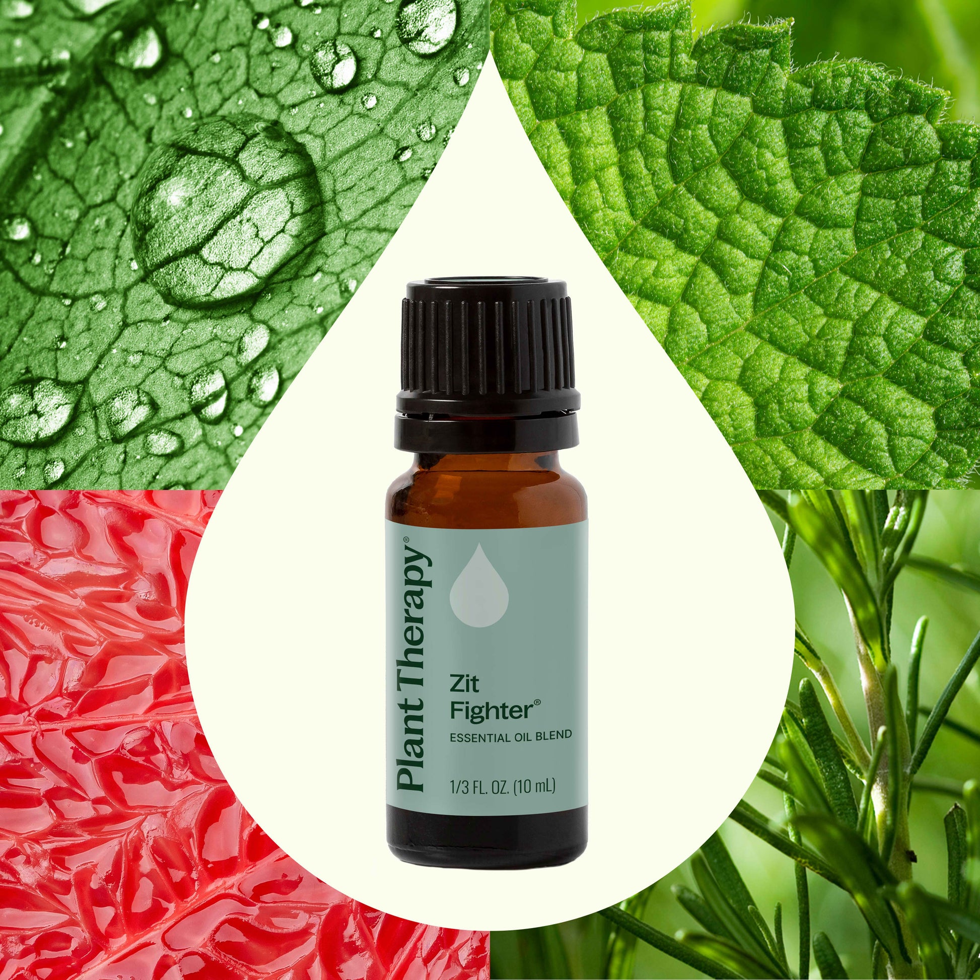 Zit Fighter Essential Oil Blend