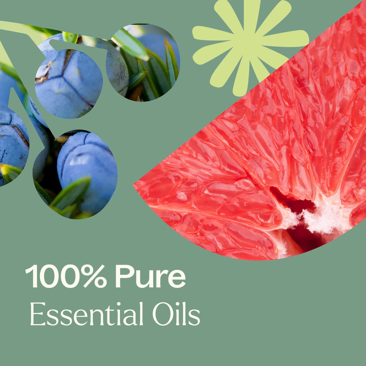 Zombie Blood Essential Oil Blend