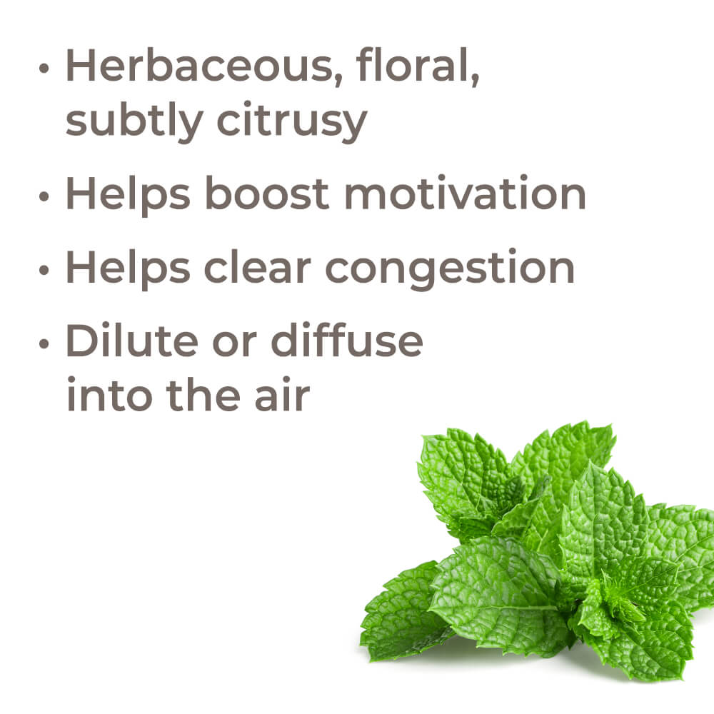 Bergamot Mint Essential Oil Plant Therapy