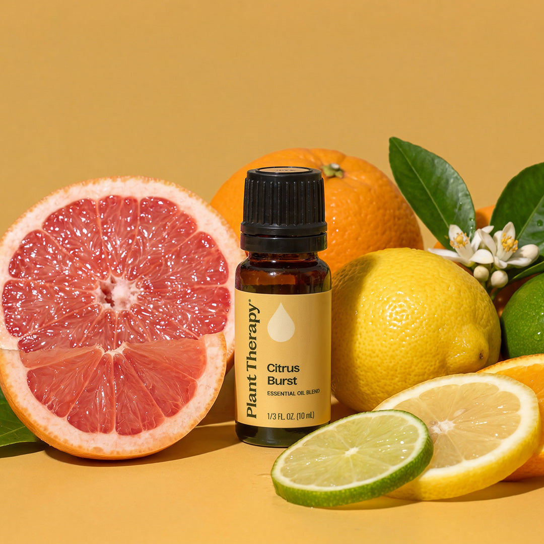 Plant Therapy Citrus Burst Essential Oil Blend - Thumbnail 4