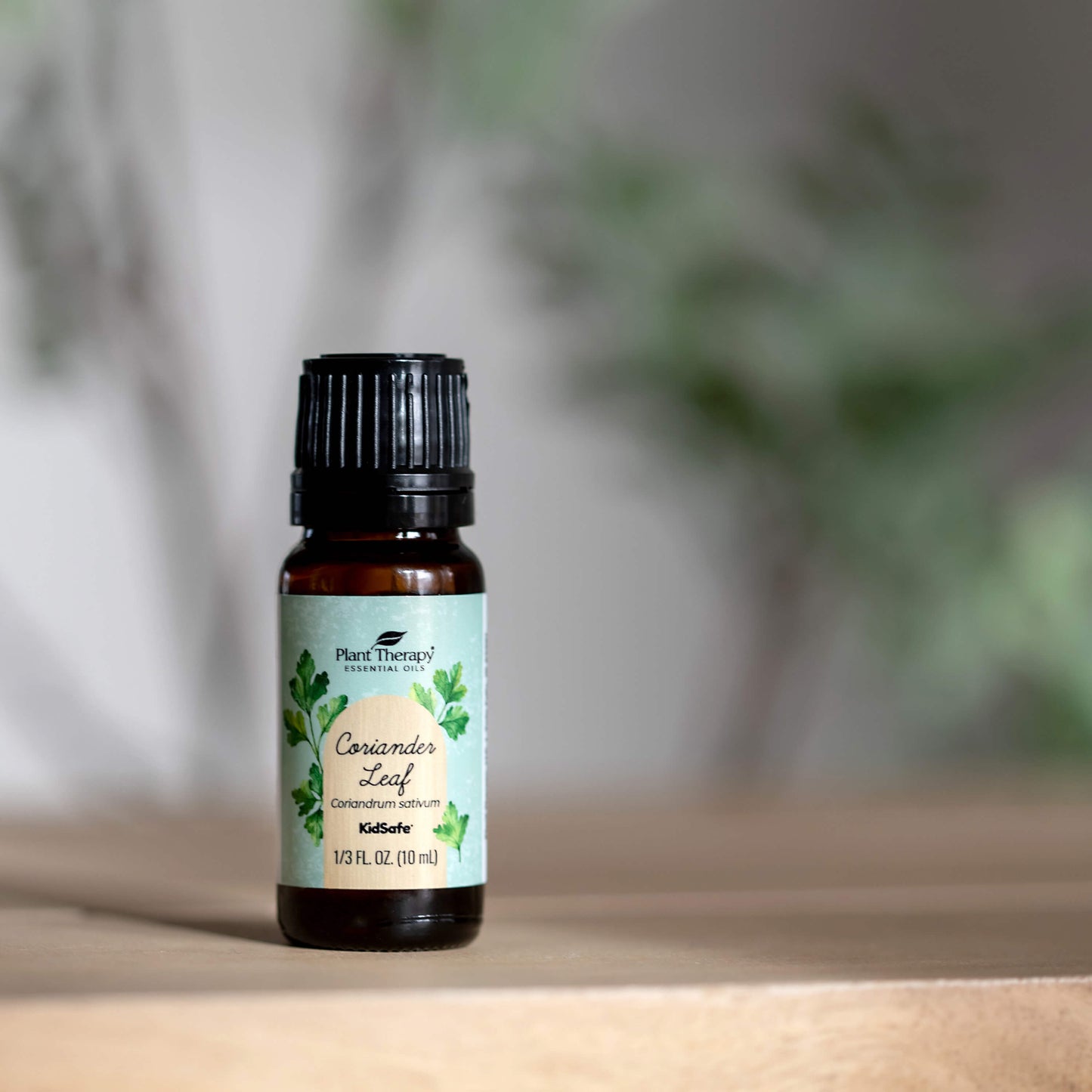 Coriander Leaf Essential Oil Plant Therapy