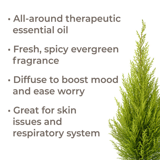Organic Cypress Essential Oil Plant Therapy