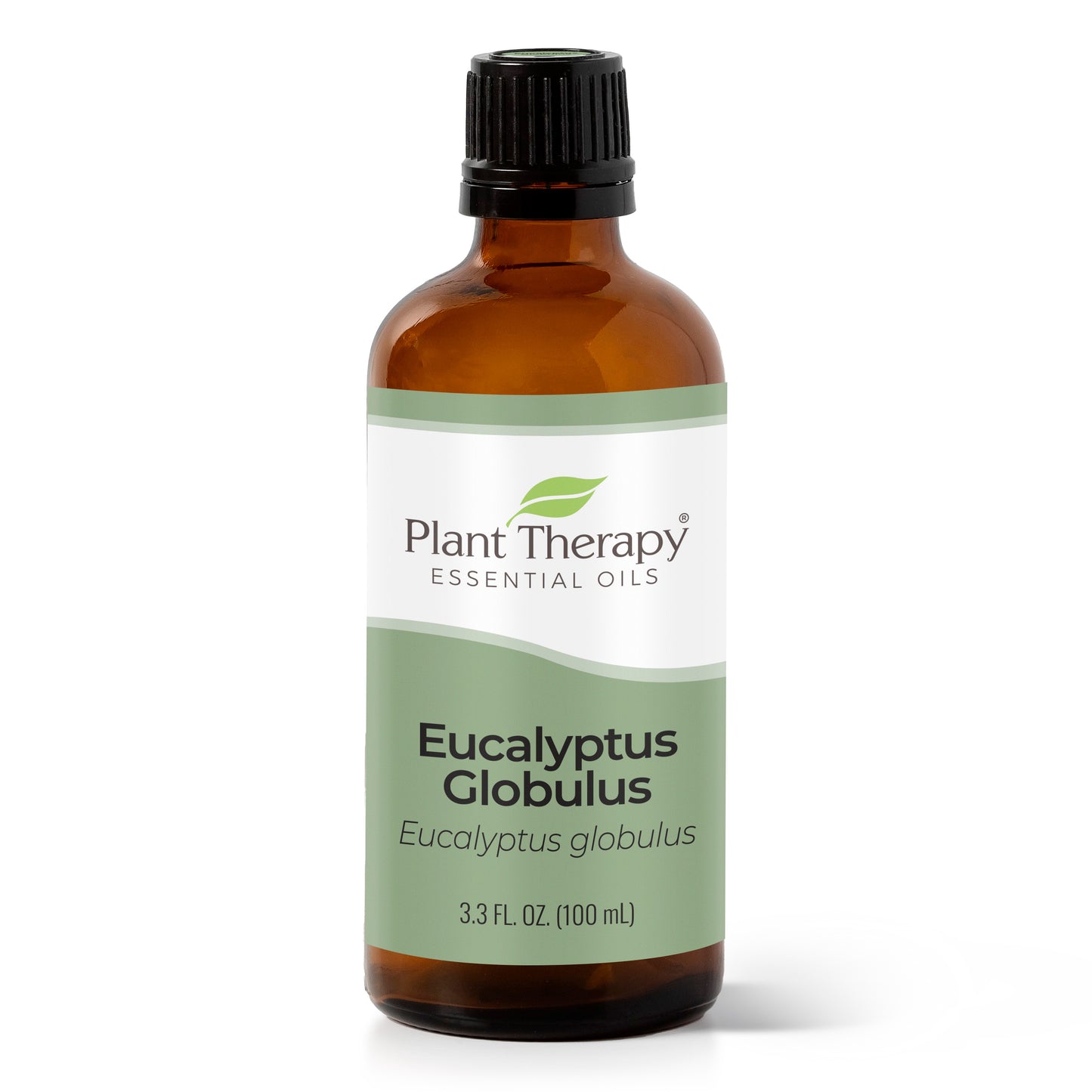 Eucalyptus Globulus Essential Oil 100 mL