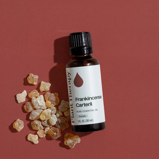 Frankincense Carterii Essential Oil