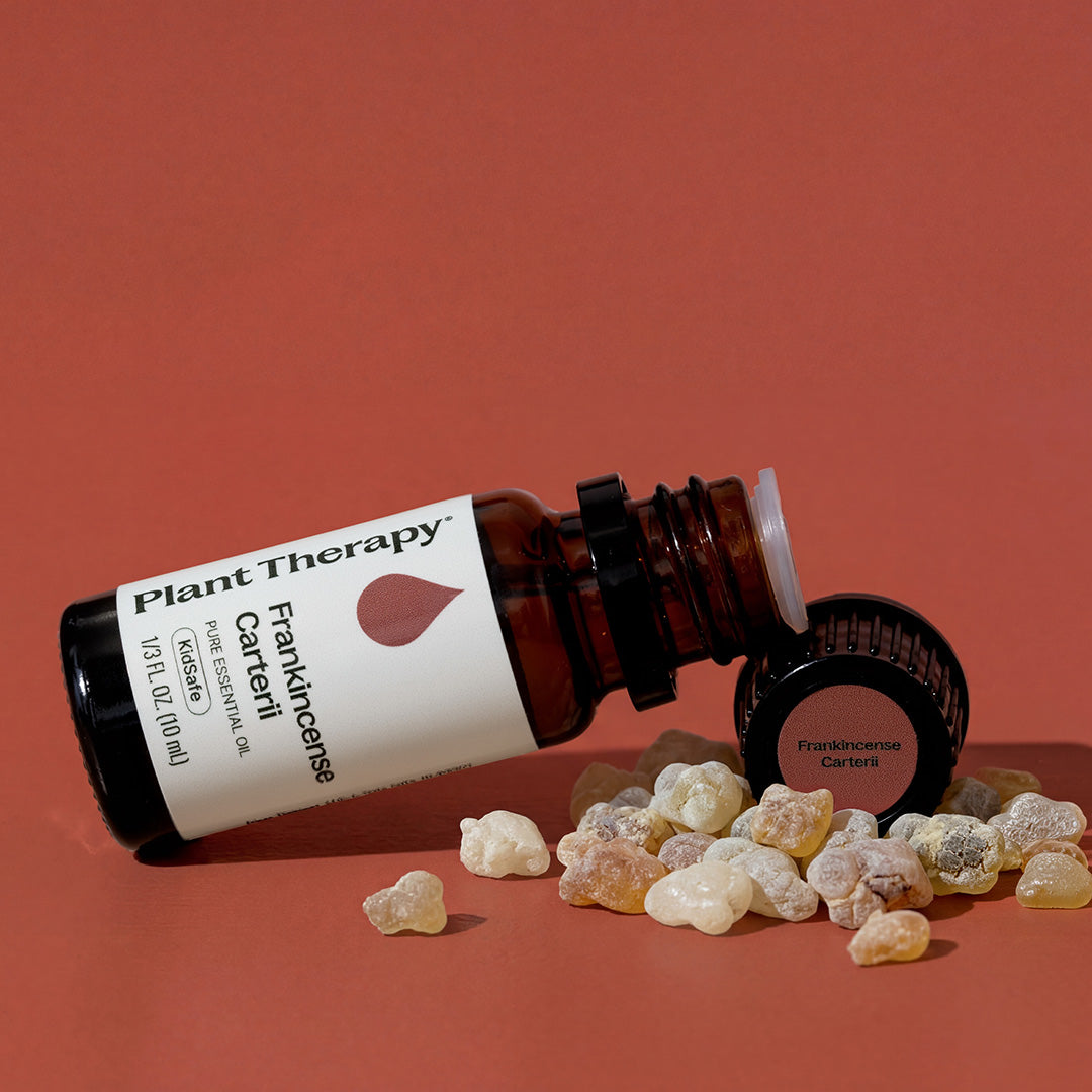 Frankincense Carterii Essential Oil