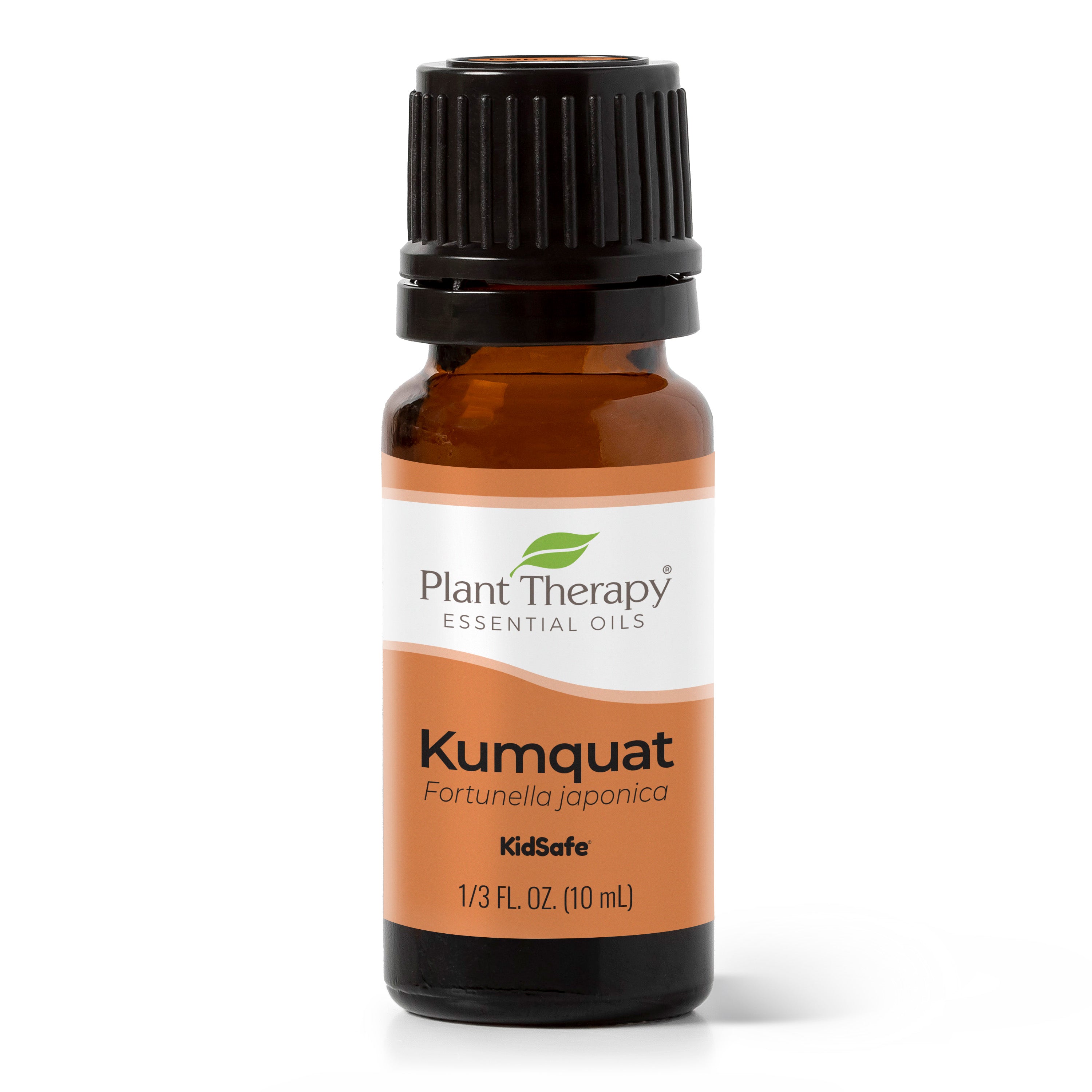 Kumquat Essential Oil Plant Therapy