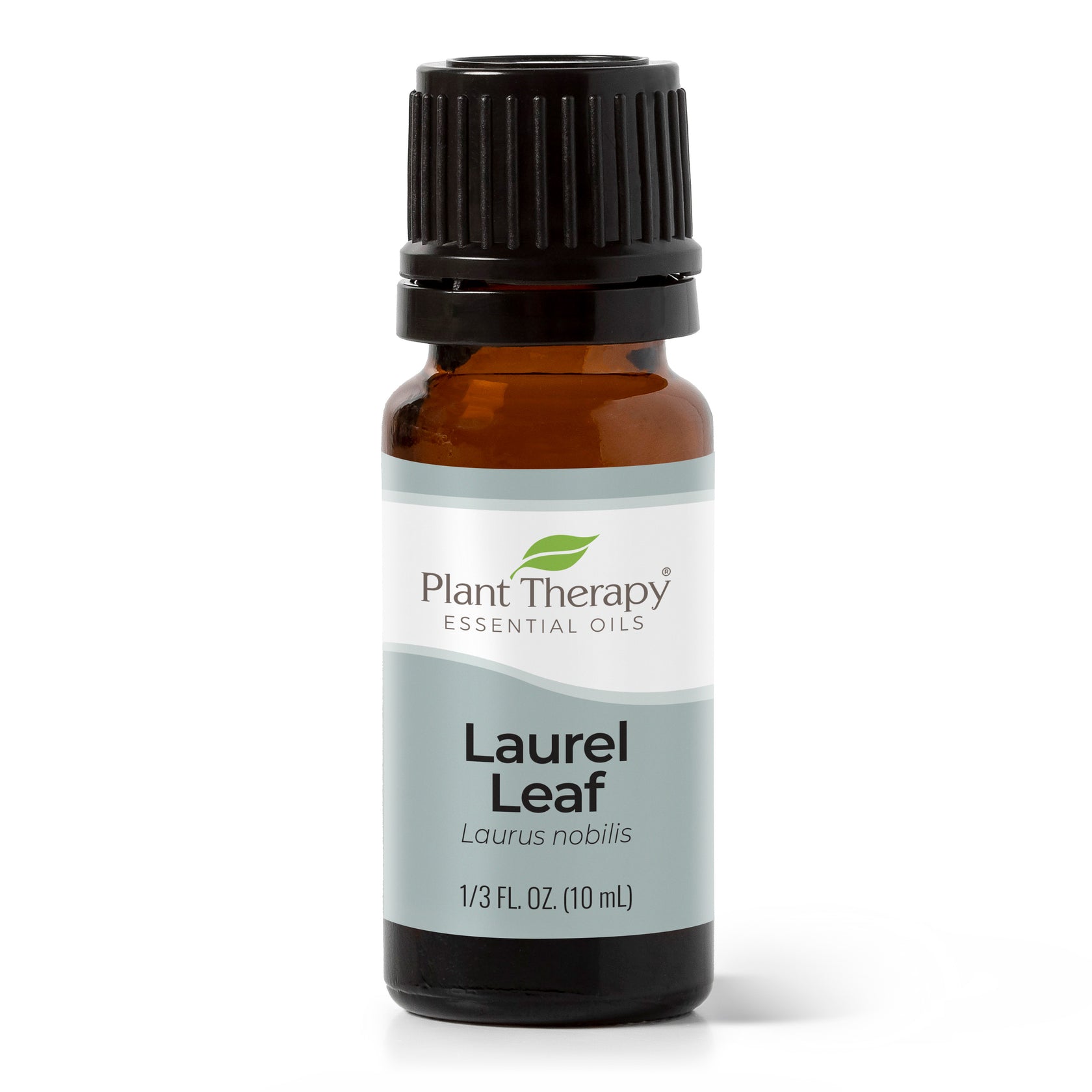 Laurel Leaf Essential Oil Plant Therapy