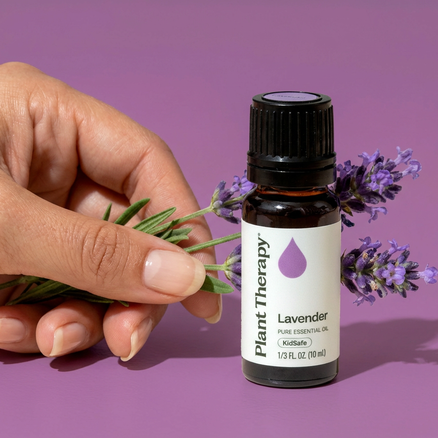 lavender plant oil Plant Therapy Lavender Essential Oil 10 ml