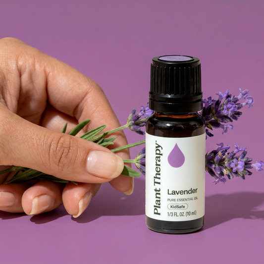 Lavender Essential Oil