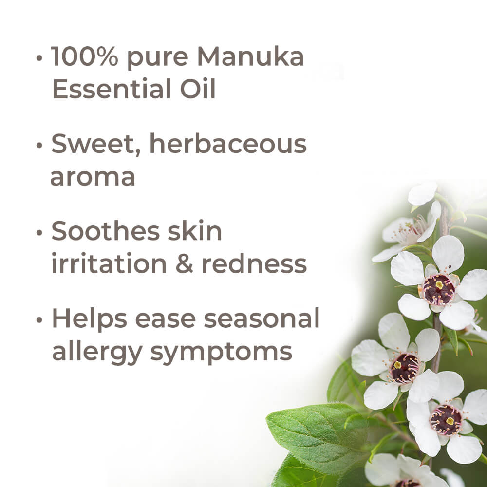 Manuka Essential Oil – Plant Therapy