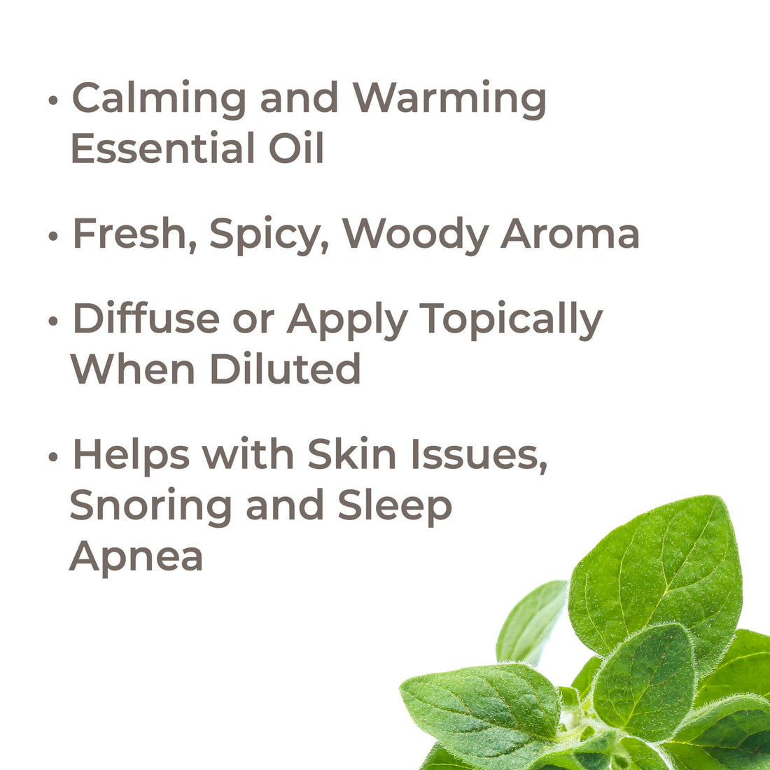 Organic Sweet Marjoram Essential Oil Plant Therapy