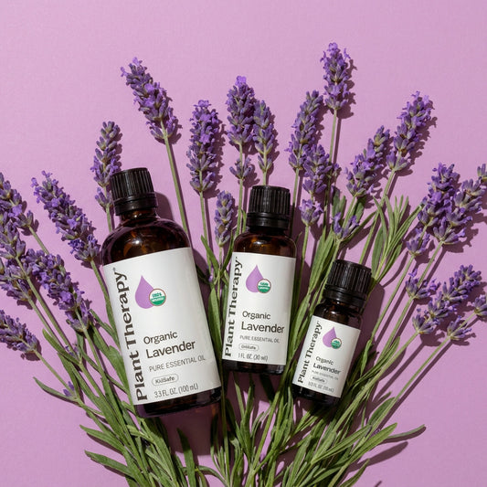 Organic Lavender Essential Oil