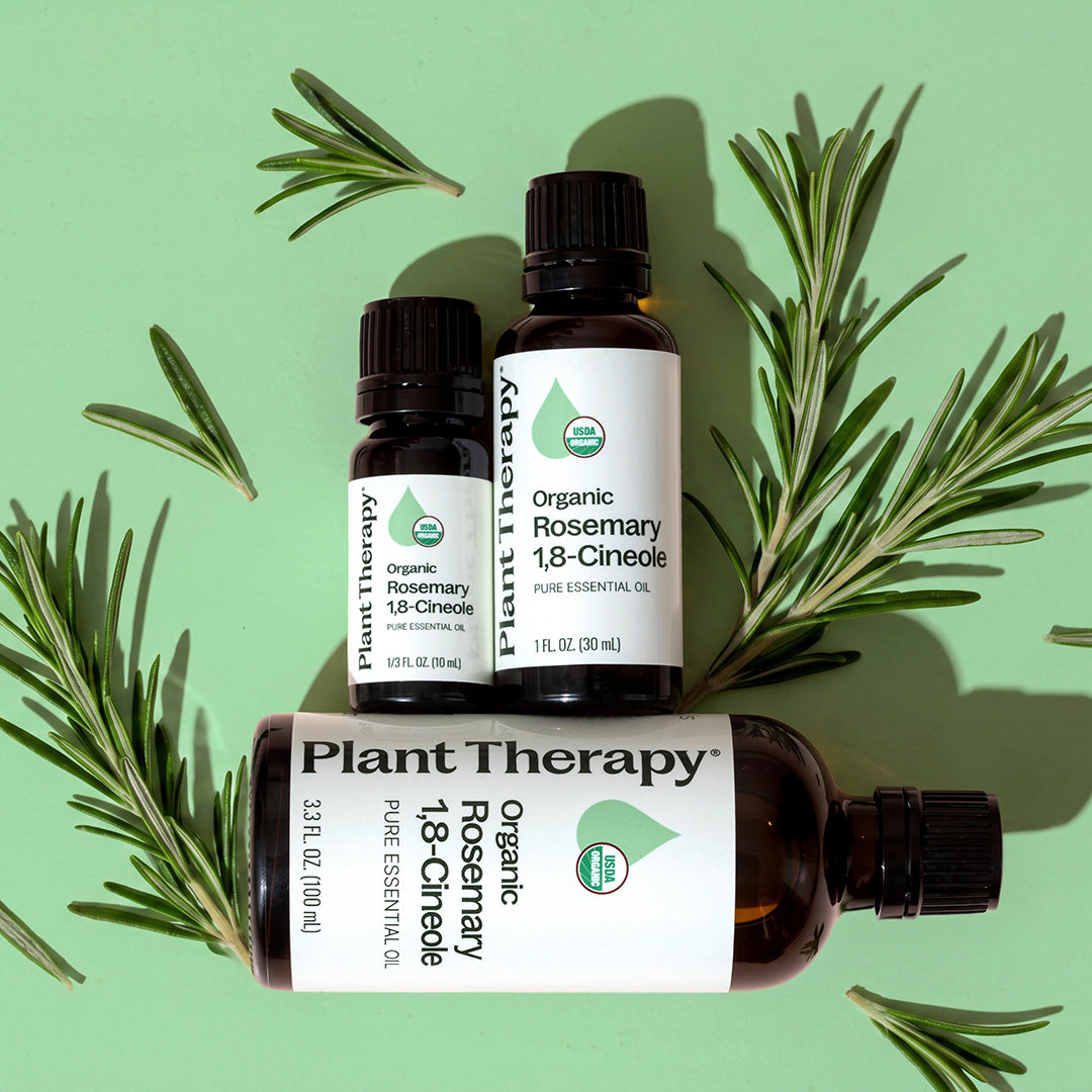 Organic Rosemary 1,8-Cineole Essential Oil – Plant Therapy