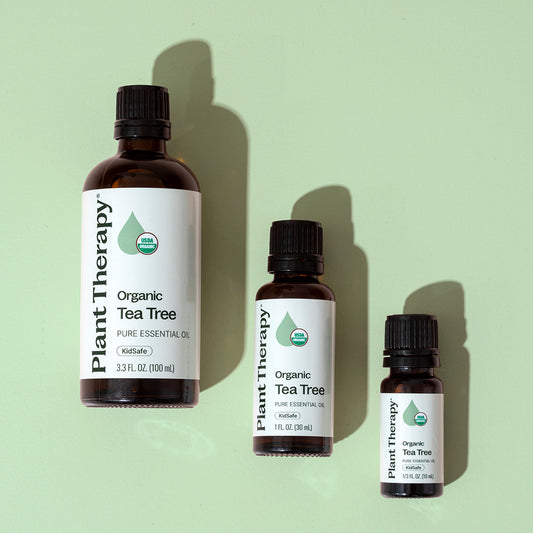 Organic Tea Tree Essential Oil