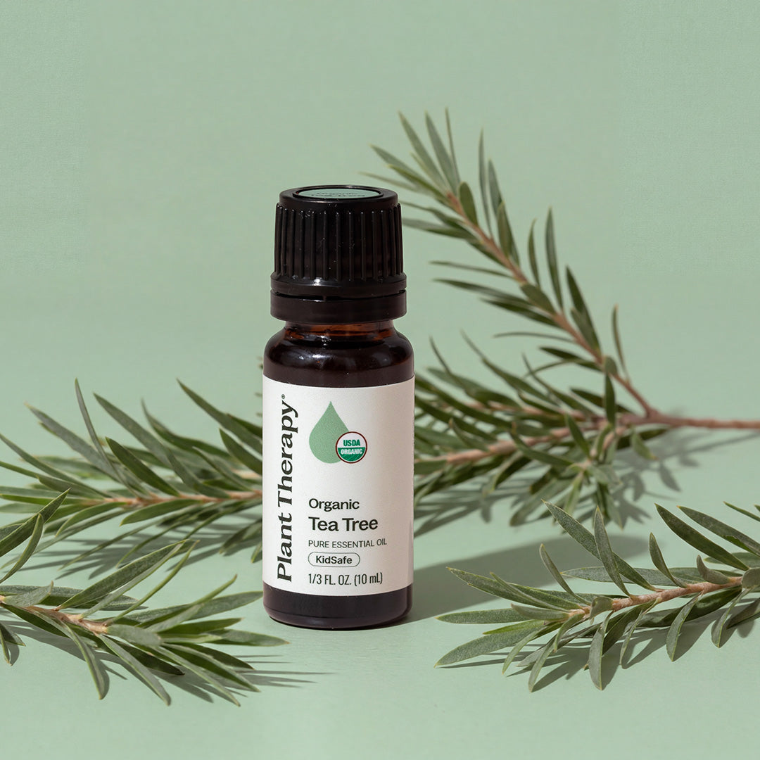Organic Tea Tree Essential Oil