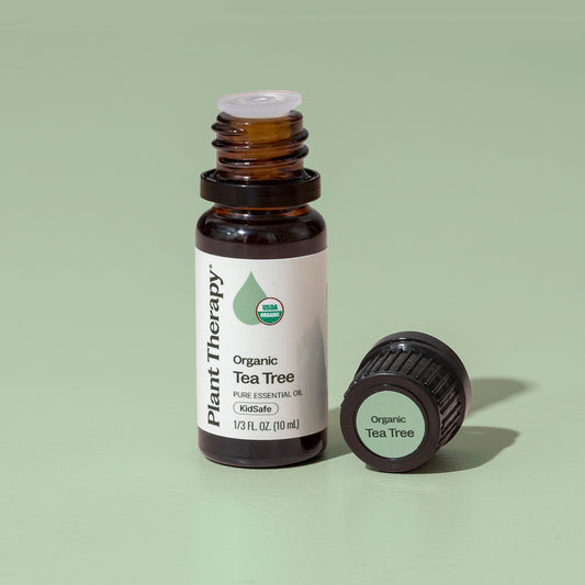 Organic Tea Tree Essential Oil