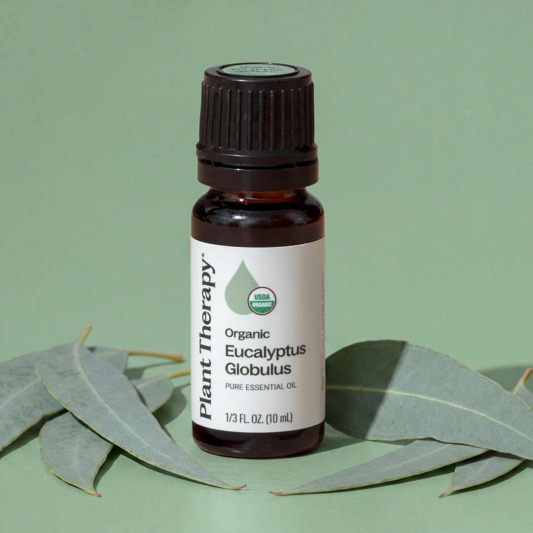 Organic Eucalyptus Globulus Essential Oil