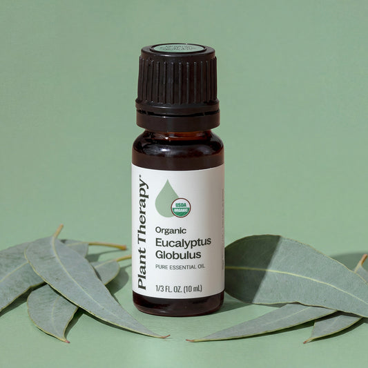 Organic Eucalyptus Globulus Essential Oil