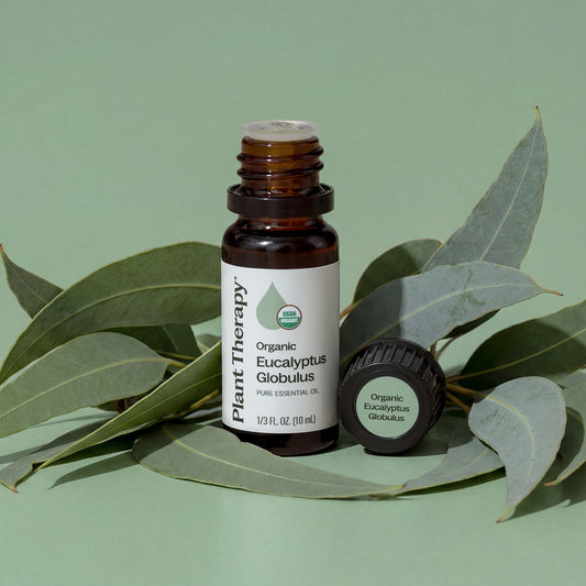 Organic Eucalyptus Globulus Essential Oil