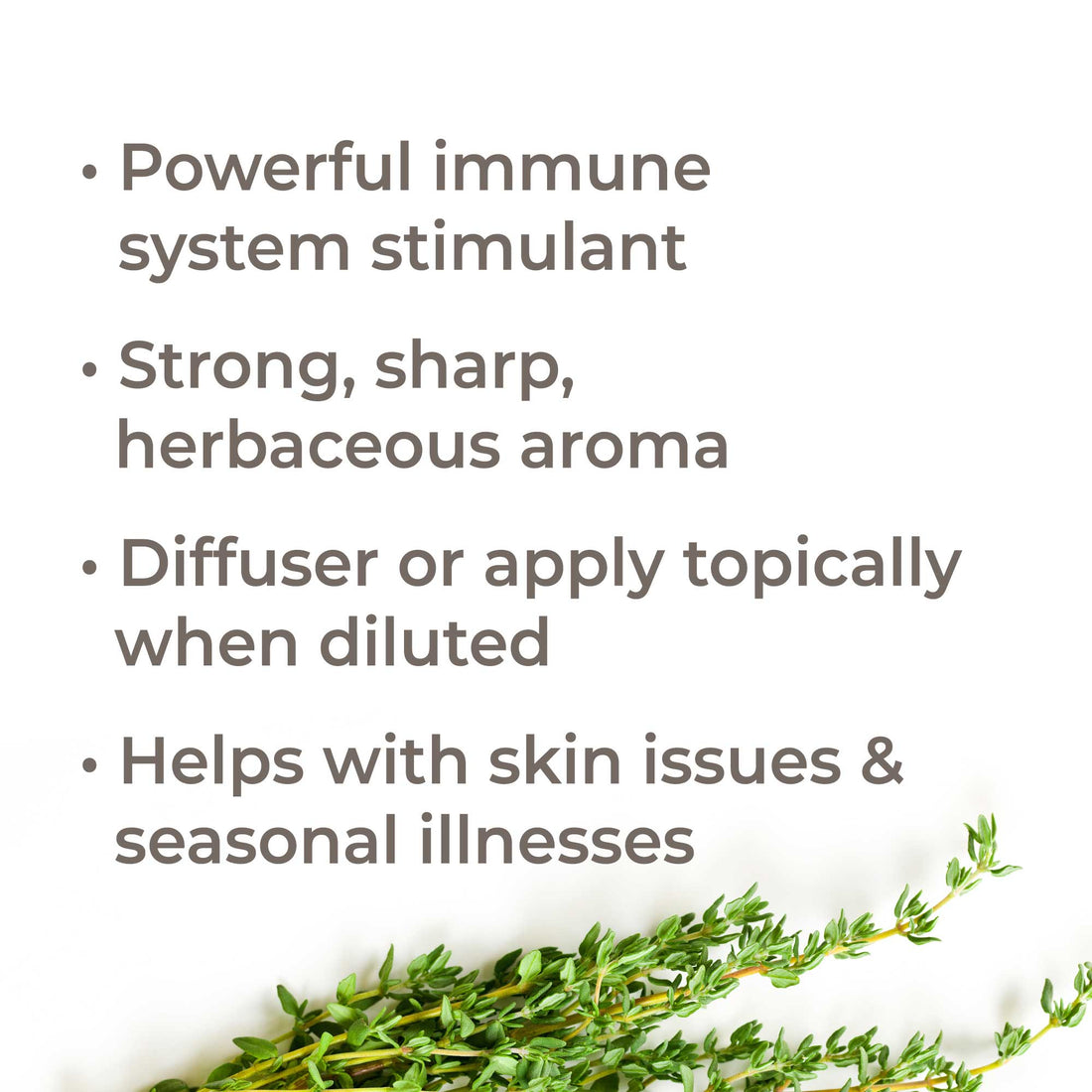 Organic Thyme Thymol Essential Oil Plant Therapy