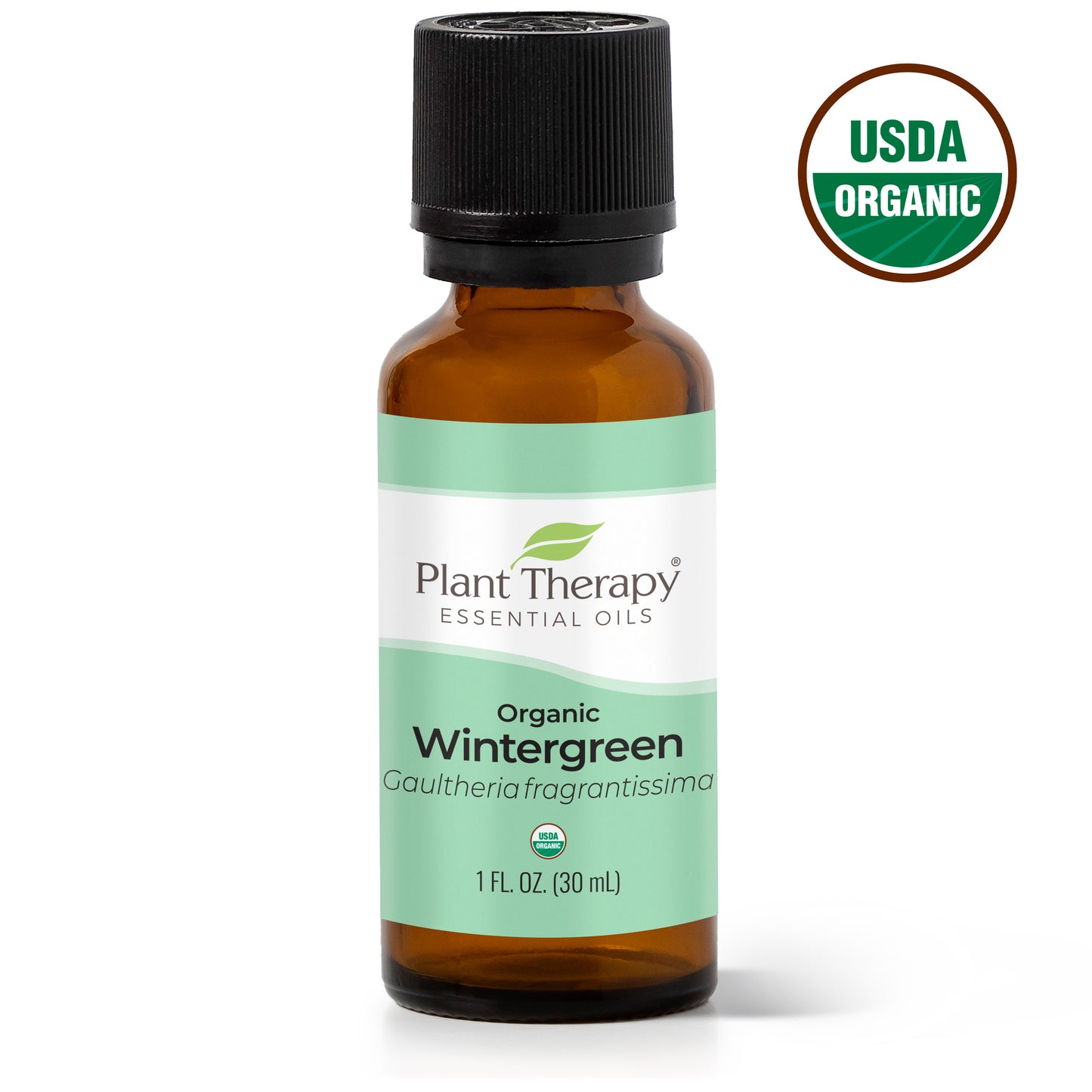 Organic Wintergreen Essential Oil