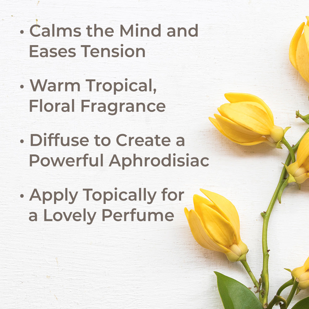 Organic Ylang Ylang Complete Essential Oil Plant Therapy