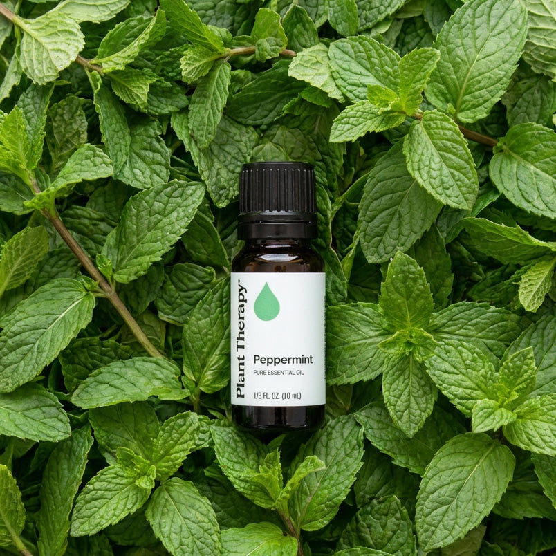 Peppermint Essential Oil