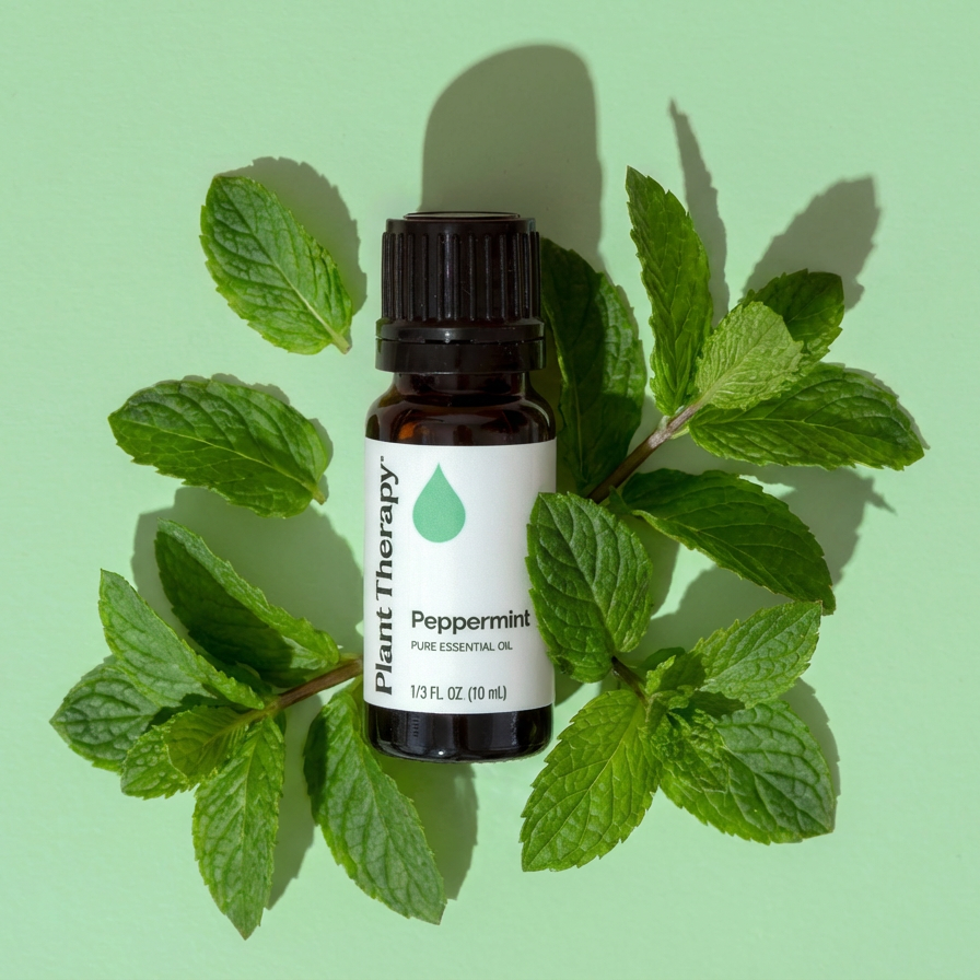 Peppermint Essential Oil