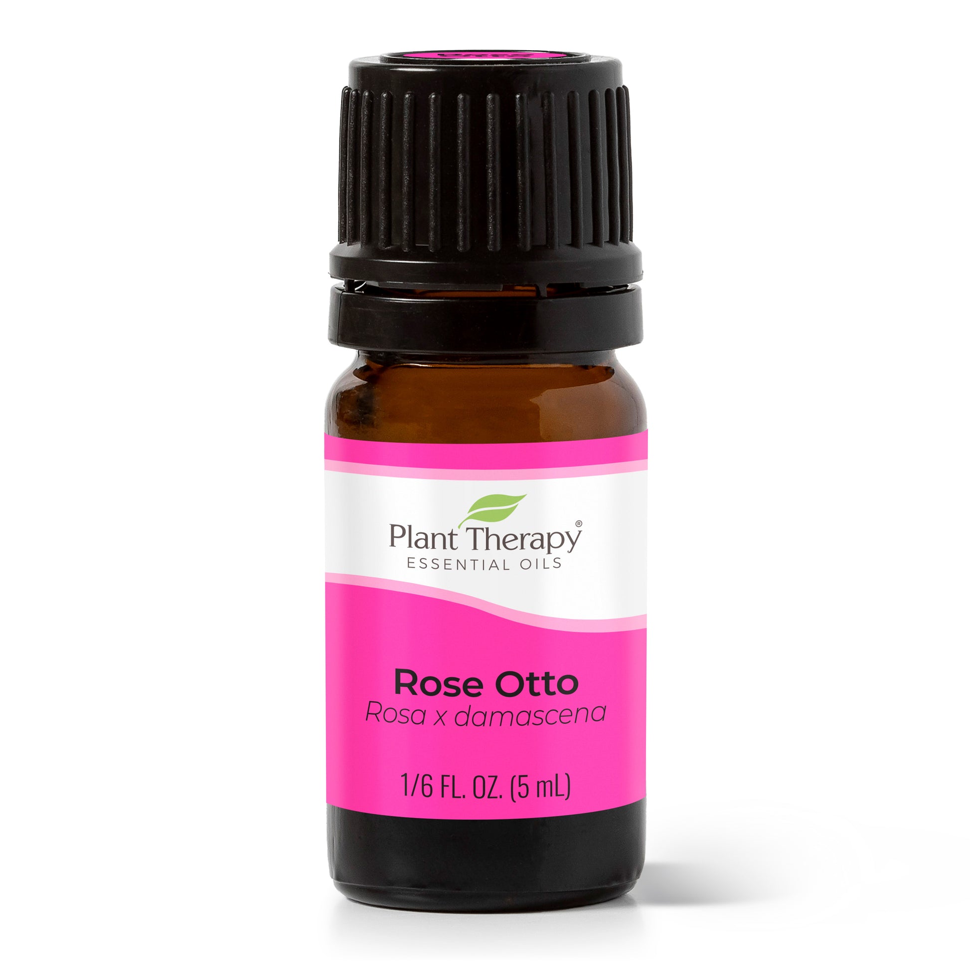 Rose Otto Essential Oil - Pure Rose Oil from Artisan Aromatics