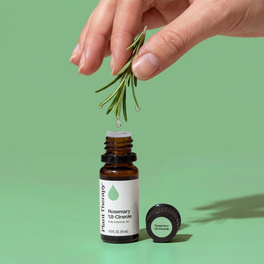 Rosemary 1,8-Cineole Essential Oil